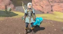 Zelda tears of the kingdom armor
